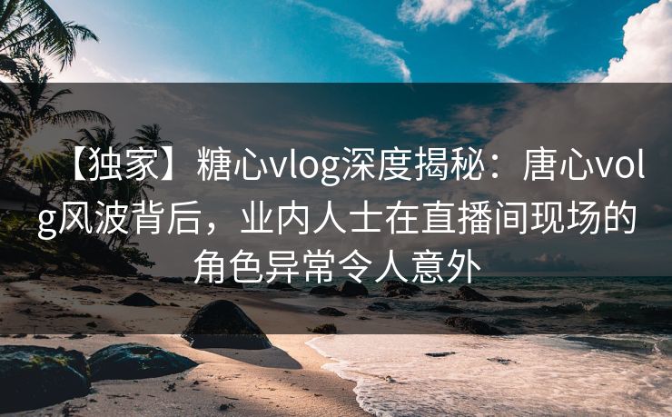 【独家】糖心vlog深度揭秘：唐心volg风波背后，业内人士在直播间现场的角色异常令人意外