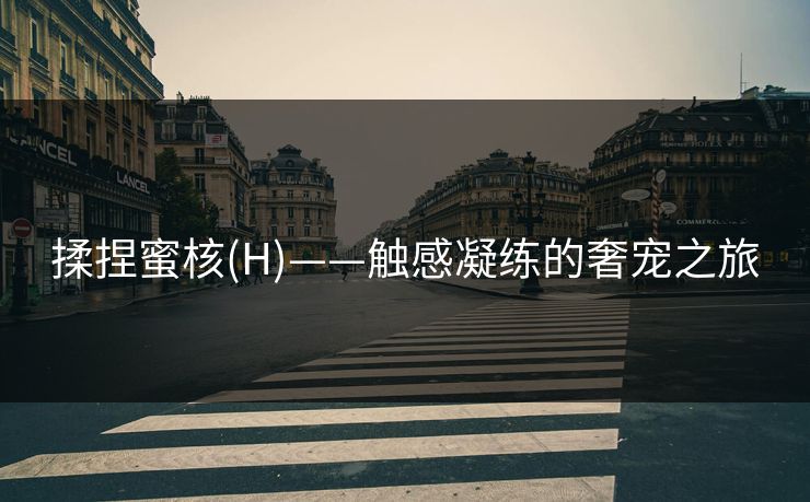 揉捏蜜核(H)——触感凝练的奢宠之旅 揉捏蜜核(H)——触感凝练的奢宠之旅