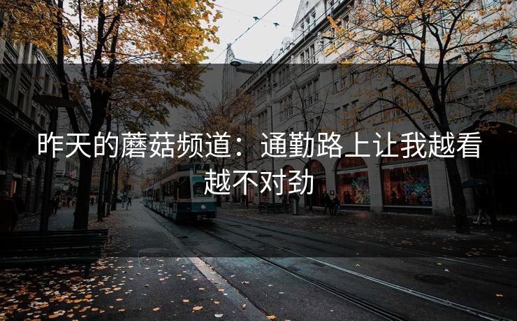 昨天的蘑菇频道：通勤路上让我越看越不对劲
