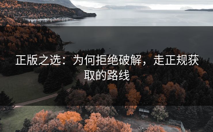 正版之选：为何拒绝破解，走正规获取的路线