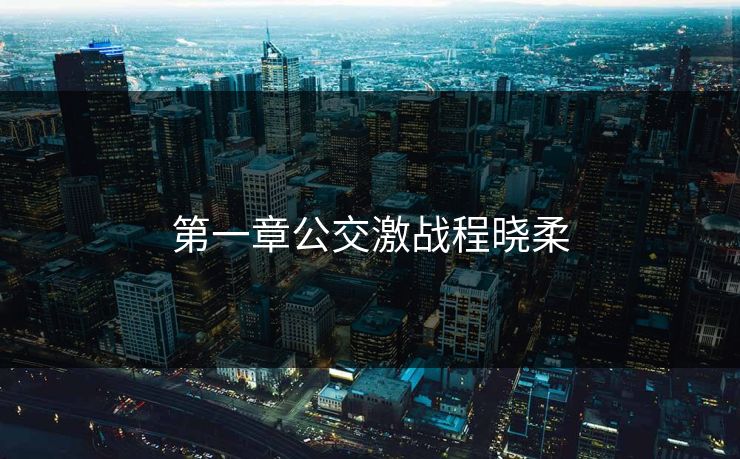第一章公交激战程晓柔