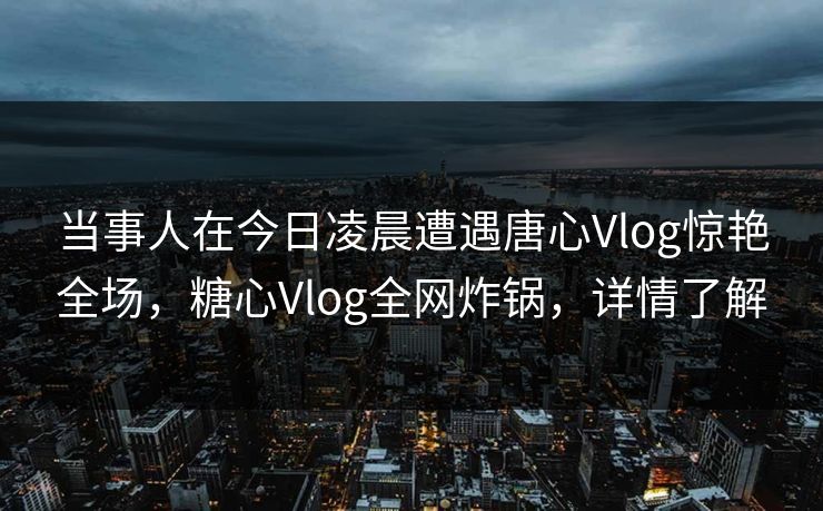 当事人在今日凌晨遭遇唐心Vlog惊艳全场，糖心Vlog全网炸锅，详情了解
