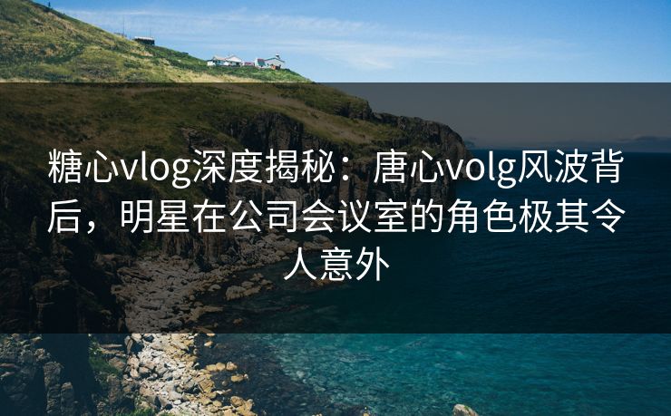 糖心vlog深度揭秘：唐心volg风波背后，明星在公司会议室的角色极其令人意外