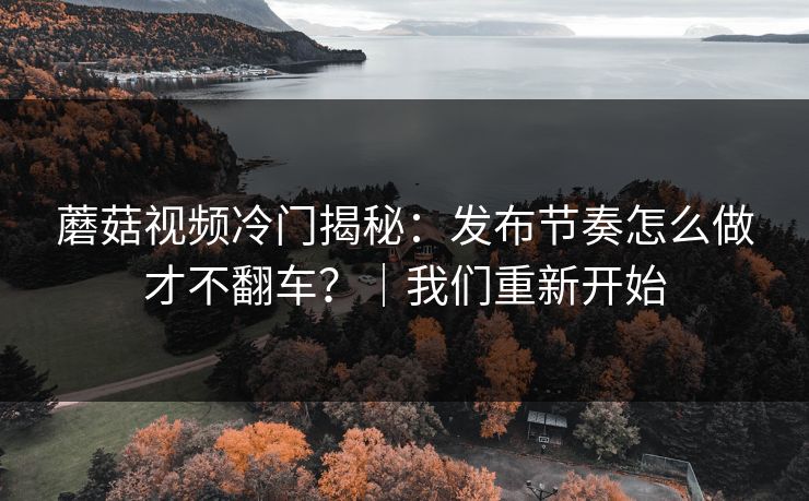 蘑菇视频冷门揭秘:发布节奏怎么做才不翻车?|我们重新开始 蘑菇视频冷门揭秘:发布节奏怎么做才不翻车?|我们重新开始